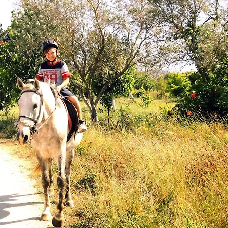 Aparthotel Palma Sidari Corfu 4*